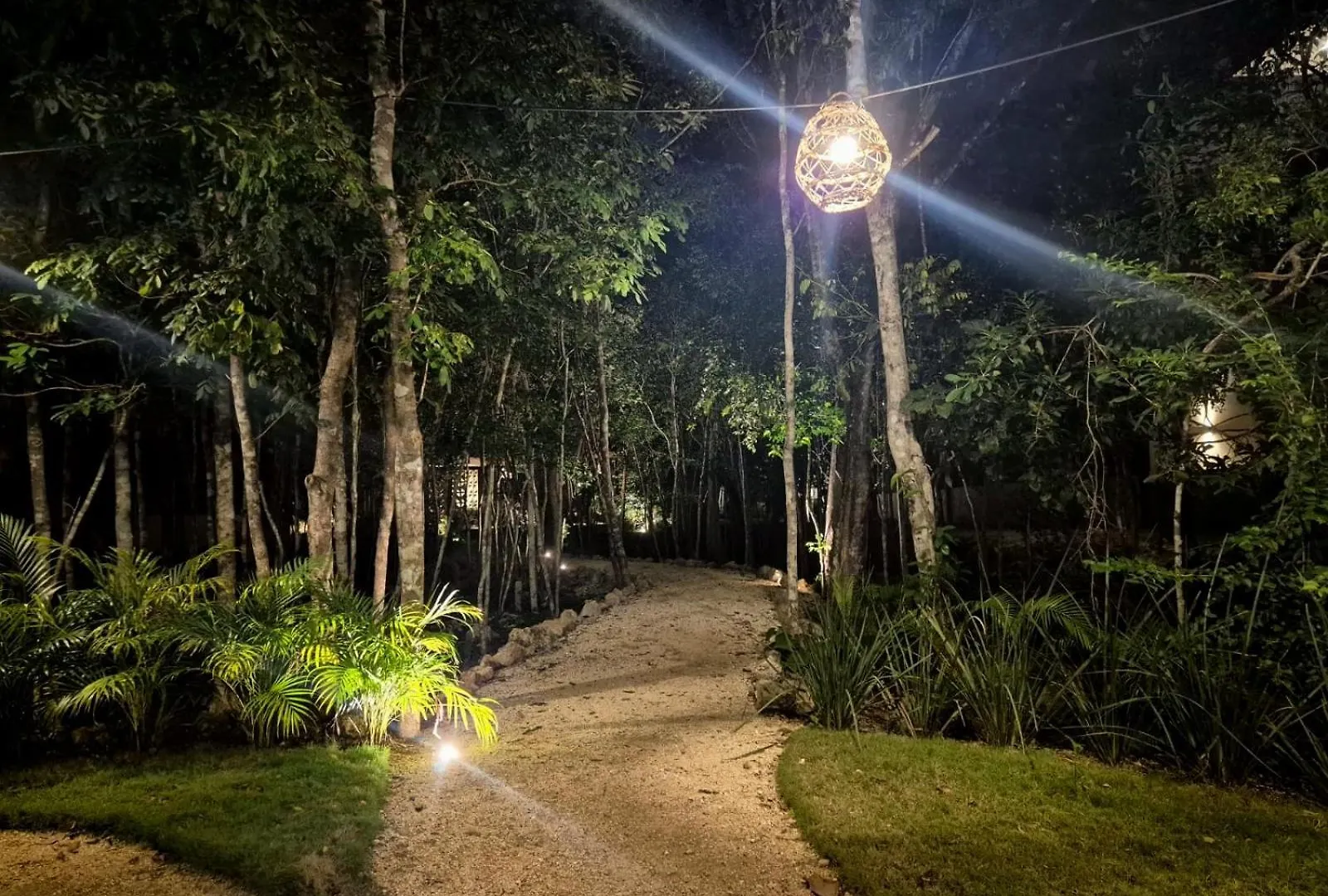 Encantador Departamento Con Vista A La Piscina Y A 10 Minutos De La Playa! Playa del Carmen 0*,  Meksyk